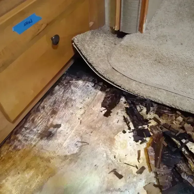 Wood Floor Water Damage in Saint Joseph, LA